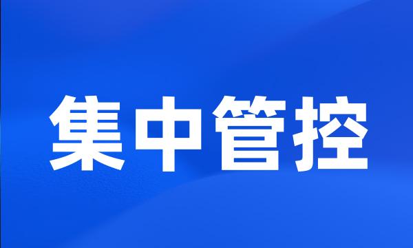 集中管控