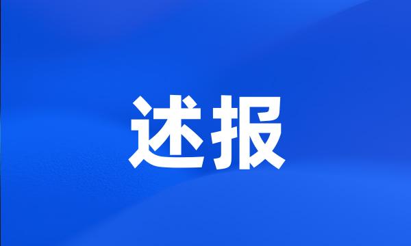 述报