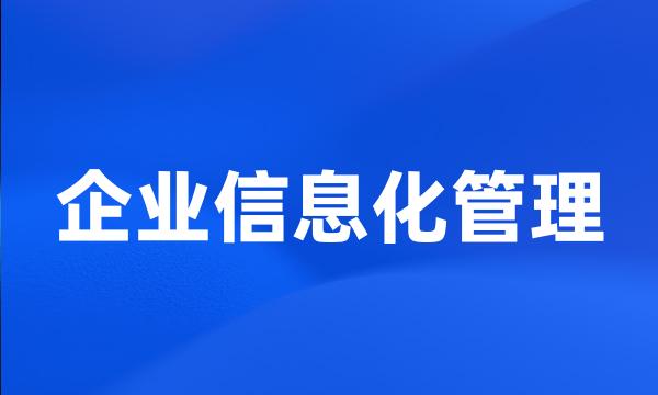 企业信息化管理