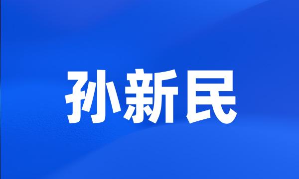 孙新民