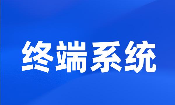 终端系统