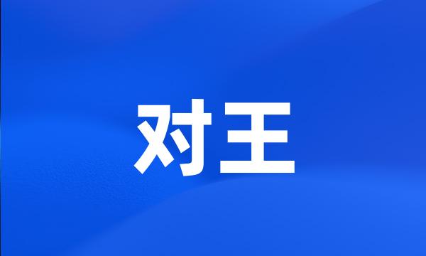 对王