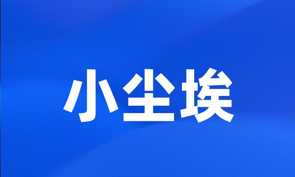 小尘埃