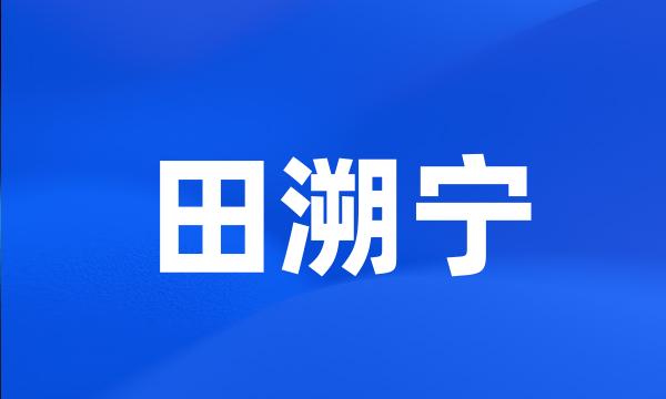 田溯宁