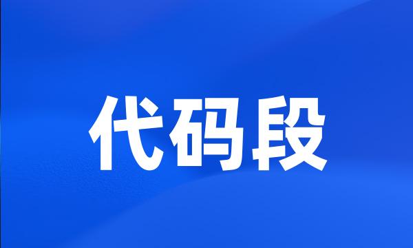 代码段