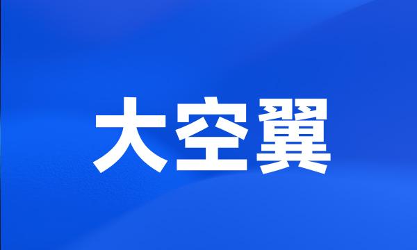 大空翼