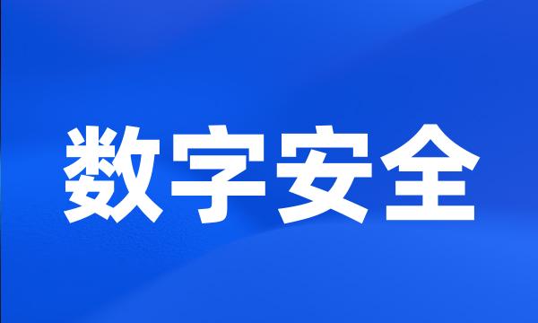 数字安全