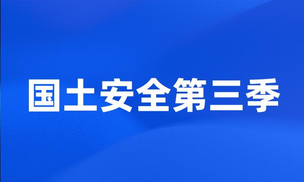 国土安全第三季