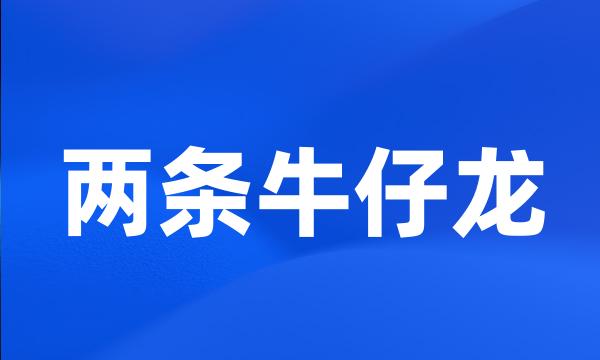 两条牛仔龙