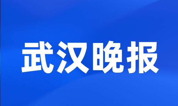 武汉晚报