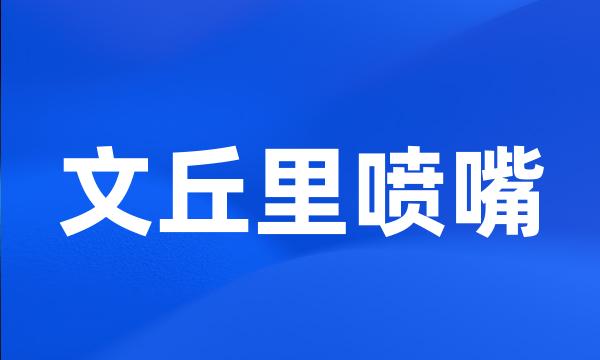 文丘里喷嘴