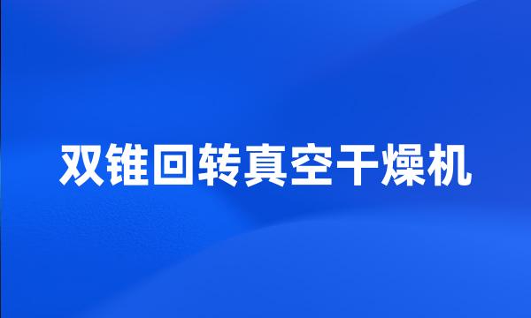 双锥回转真空干燥机