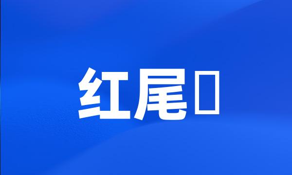 红尾鵟