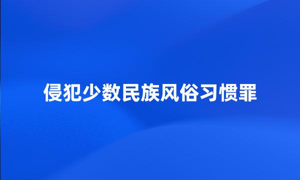 侵犯少数民族风俗习惯罪