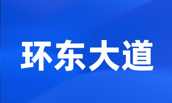 环东大道