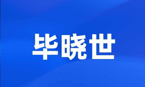 毕晓世