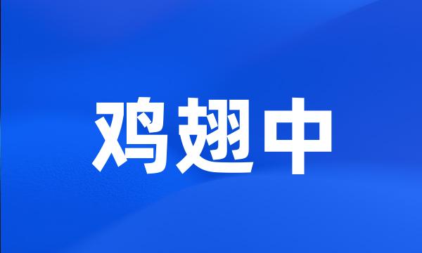 鸡翅中