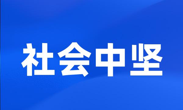 社会中坚