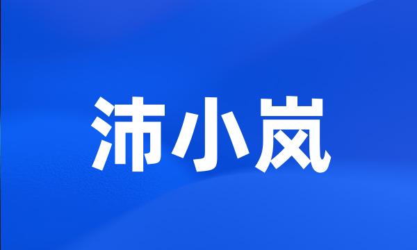 沛小岚