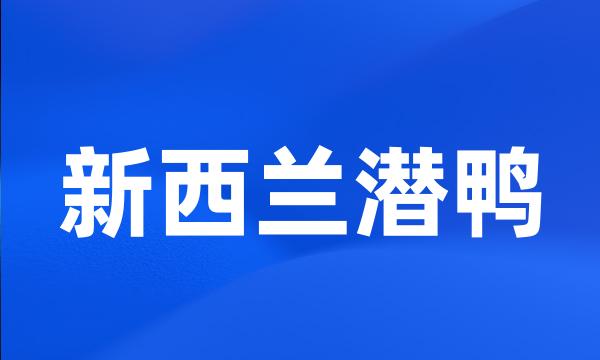 新西兰潜鸭