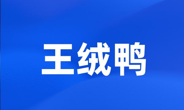 王绒鸭