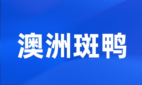 澳洲斑鸭