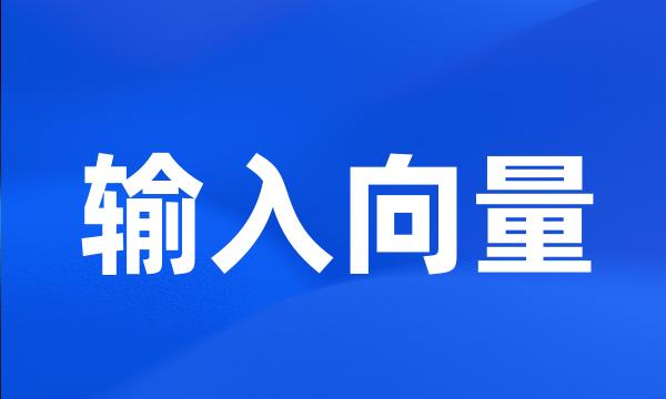 输入向量