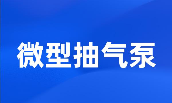 微型抽气泵