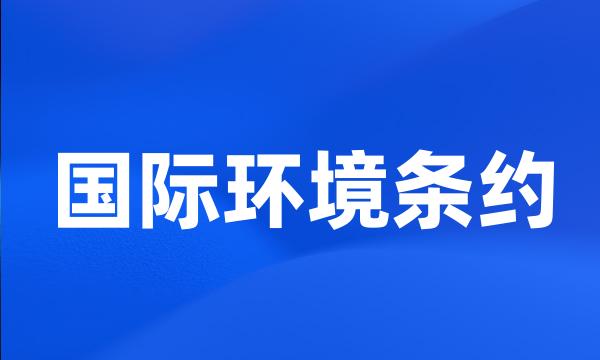 国际环境条约