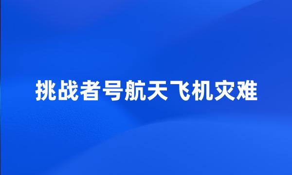 挑战者号航天飞机灾难