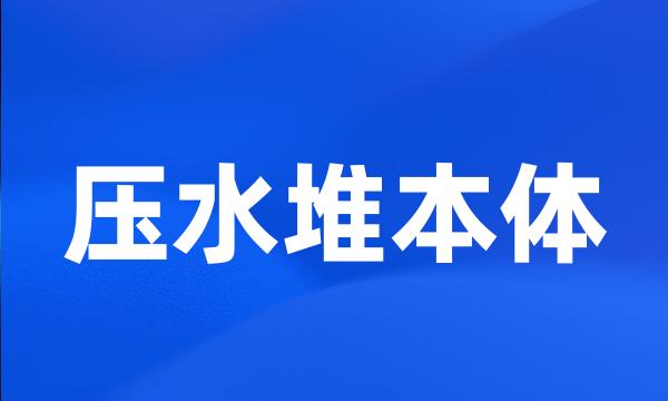 压水堆本体