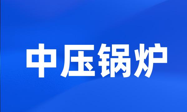 中压锅炉