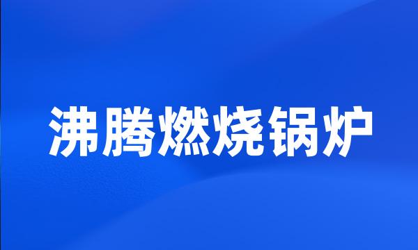 沸腾燃烧锅炉