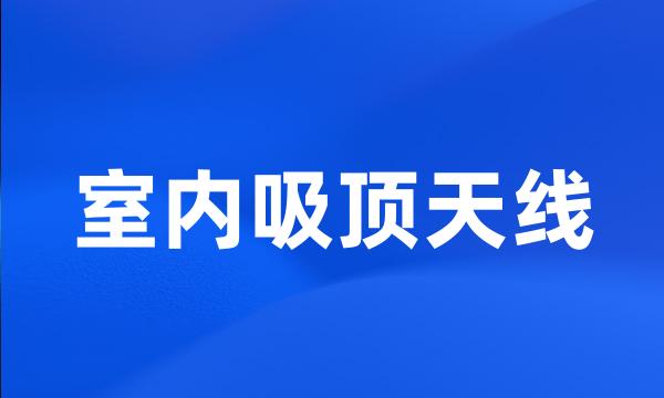 室内吸顶天线