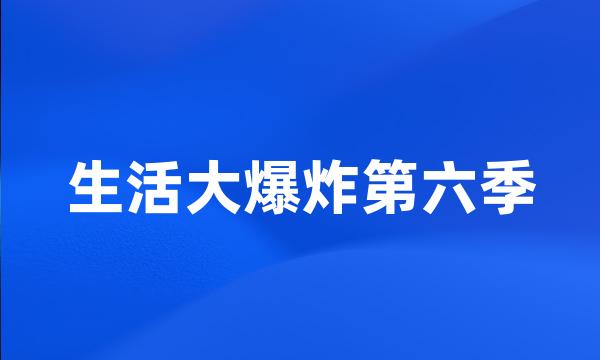 生活大爆炸第六季