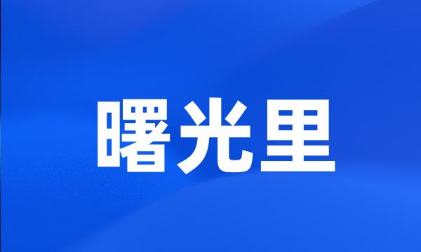 曙光里