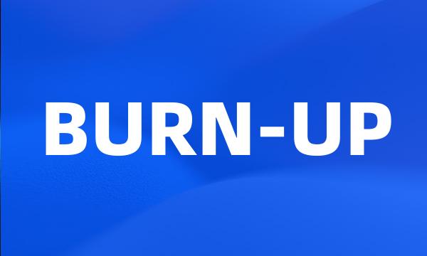 BURN-UP