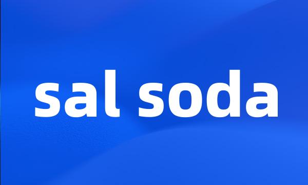 sal soda