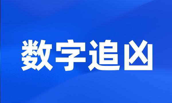 数字追凶