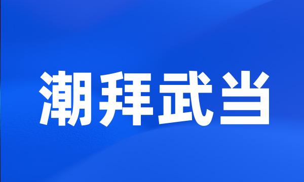 潮拜武当