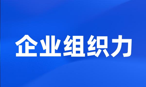 企业组织力