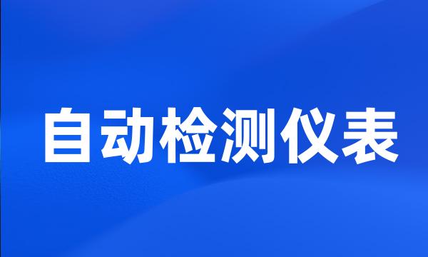 自动检测仪表