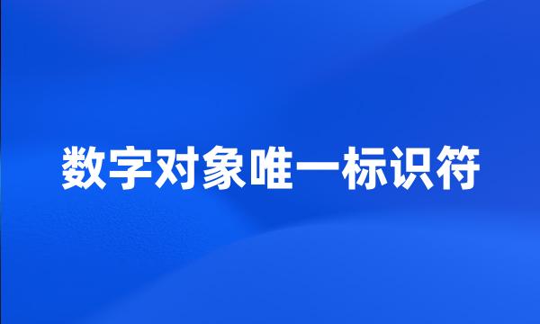 数字对象唯一标识符