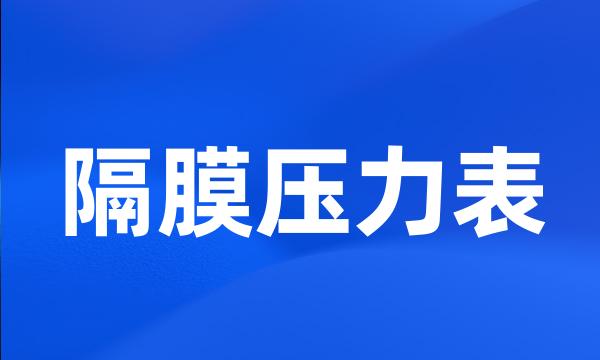 隔膜压力表