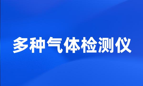 多种气体检测仪