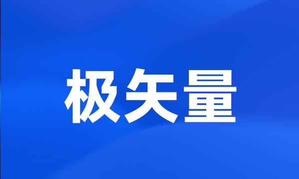 极矢量