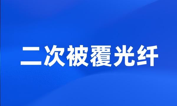 二次被覆光纤