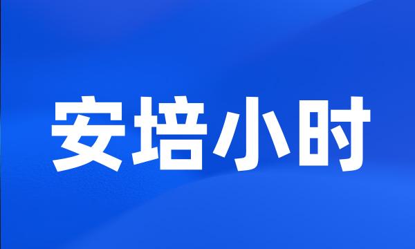 安培小时