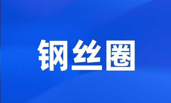 钢丝圈