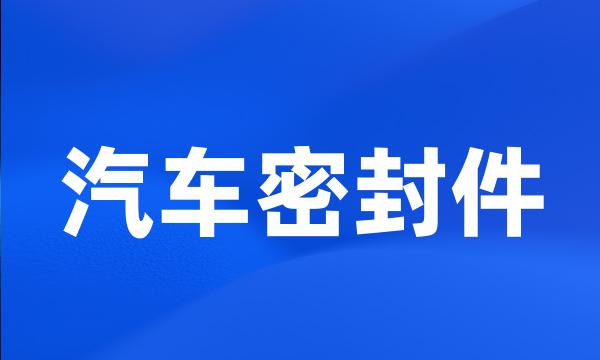 汽车密封件